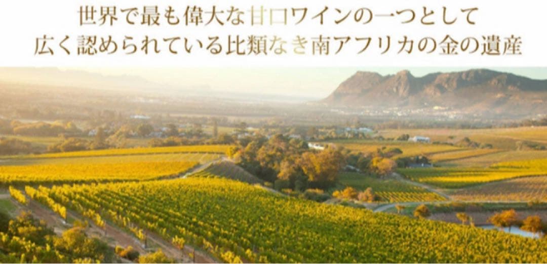 「Vin de Constance 2016」マグナム（1,500ml）木箱入り