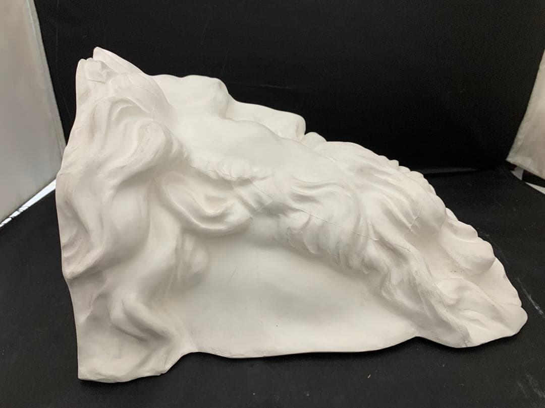 石膏像　チグリス大顔面　デッサン　YOKOHAMA モーゼ