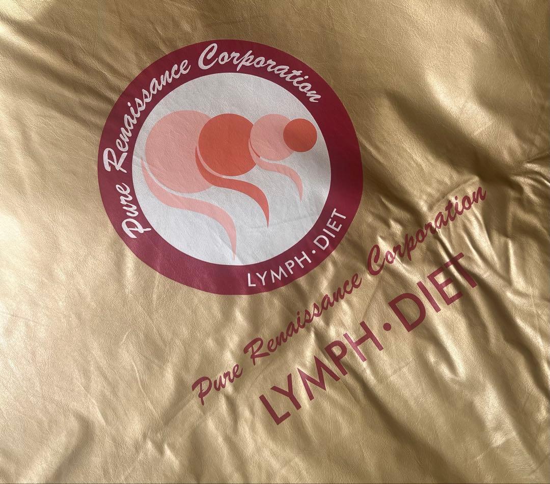 ホルミシスエスティーマットST-300 カバー　ホルミシス座布団の３点セット