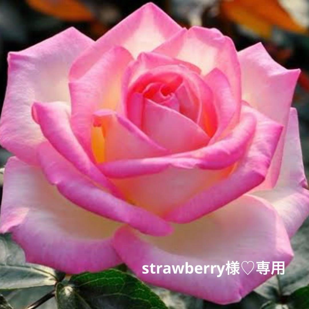 strawberry様♡専用です　ハンドメイド　 リボン刺繍フレーム