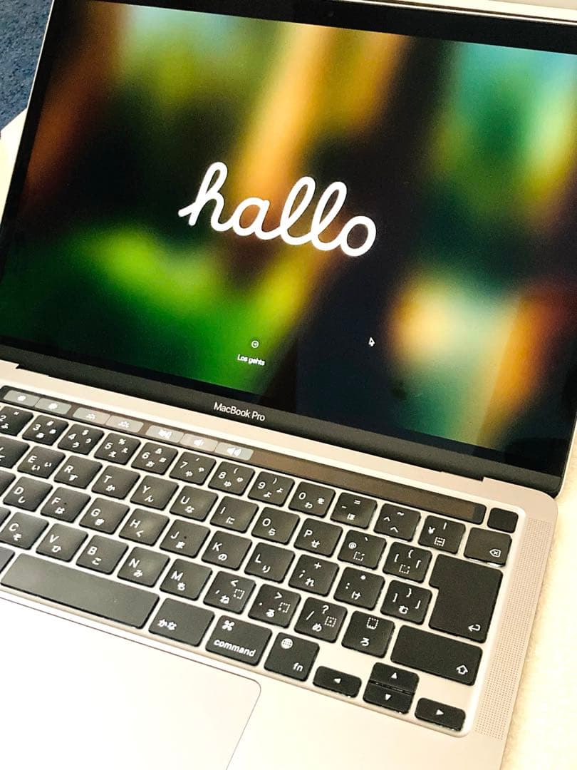 【Hさま専用】MacBookPro 13インチ M1 メモリ16GB/256GB