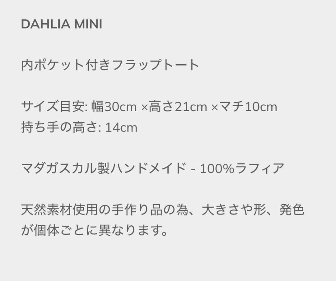 MAISON N.H PARIS ラフィアバッグ