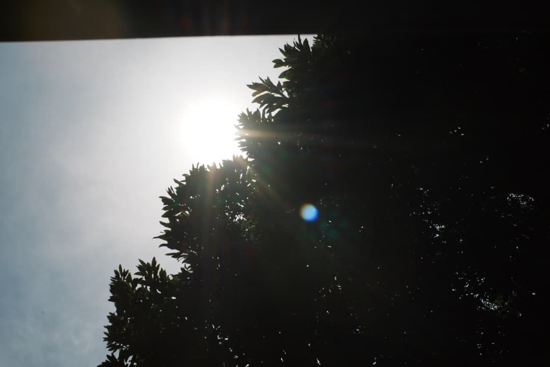 【美品】動作◎ SMC Takumar 50mm F1.4 オールドレンズ 21