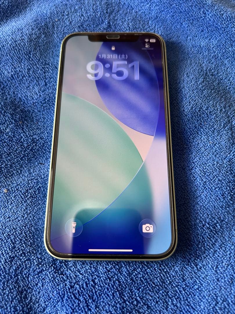 Apple iPhone 12 グリーン本体
