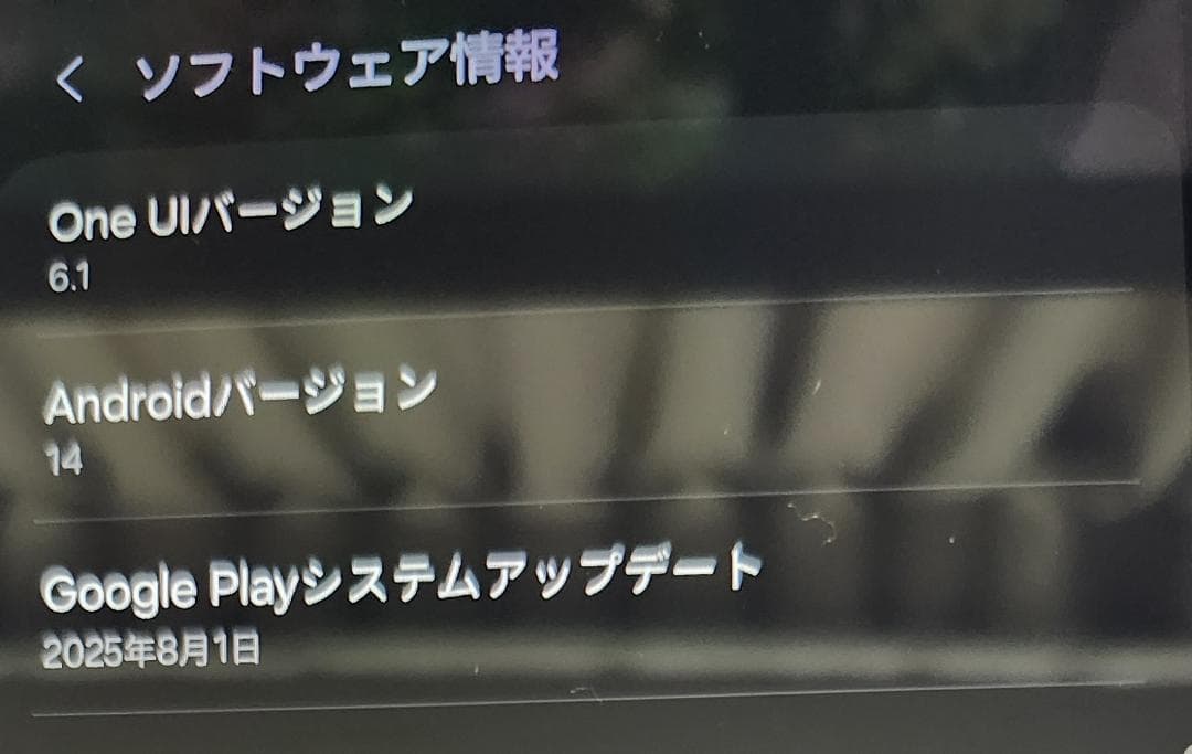 galaxy tab s6 lite SM-P613　純正カバー付き