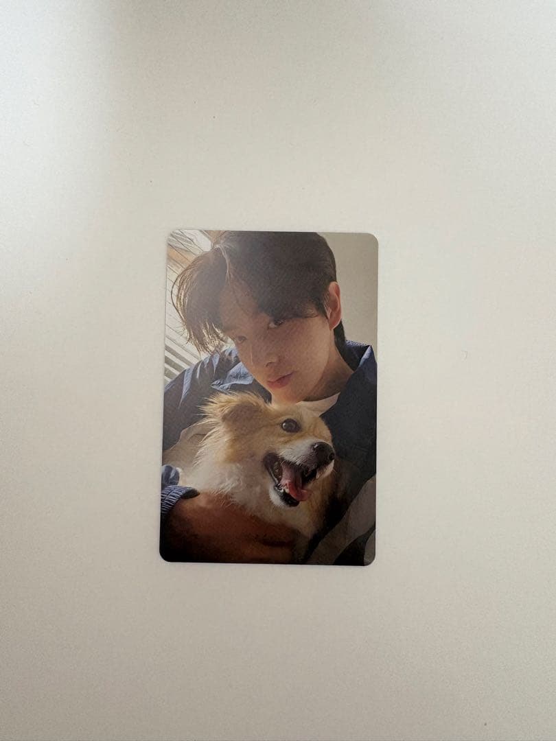 ENHYPEN 2025 会報　アンケート　トレカジェイク