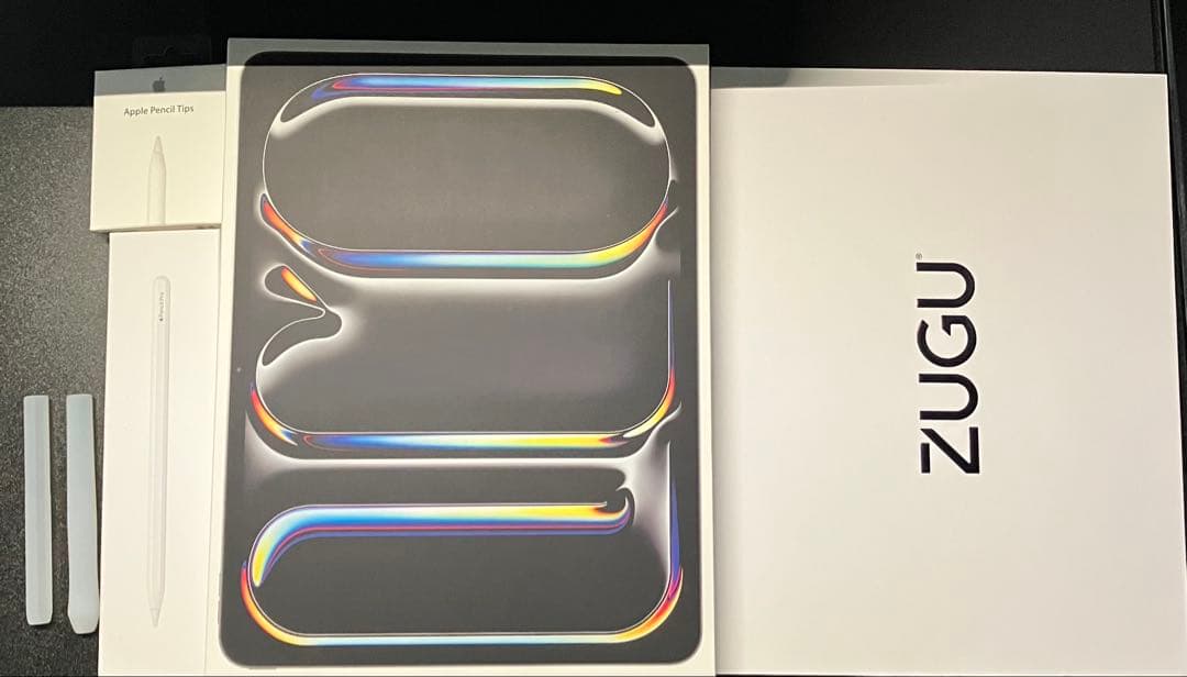 m*様 13インチiPad Pro(M4) 1TB wi-fiモデル イラストセ