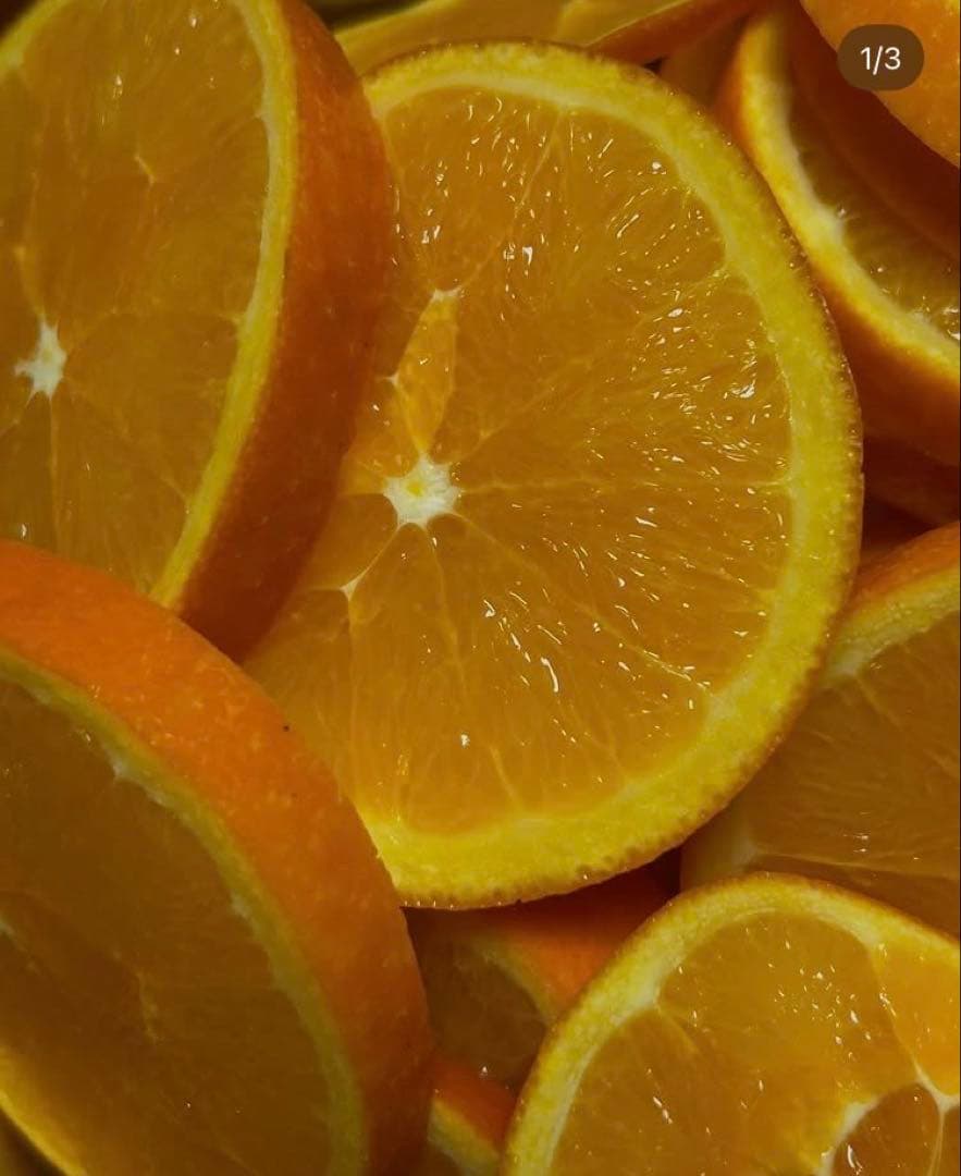 あん様♡酵素栽培　小粒ちゃん　ネーブル 瀬戸田　広島県　皮も食べて　農園直送5㌔