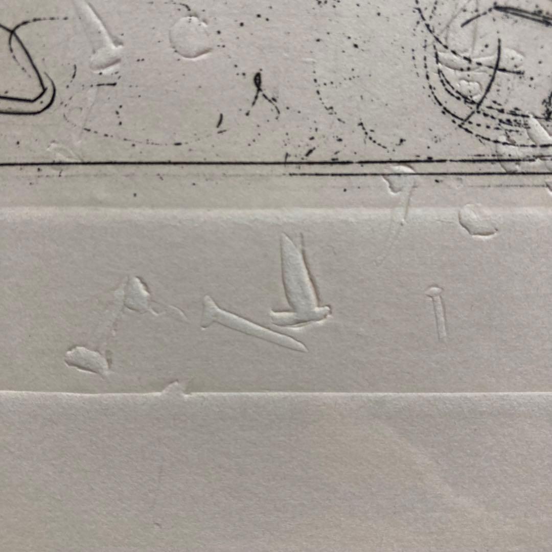 【真作】サルバドール・ダリ エッチングに手彩色 直筆サイン 額装 絵画 版画