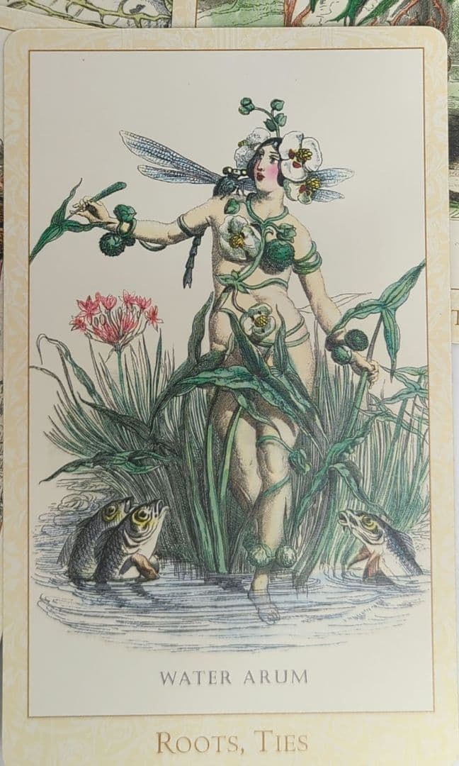 絶版　希少　ヴィクトリアン・フラワー　タロットカード　カレン・マホニー　未使用品