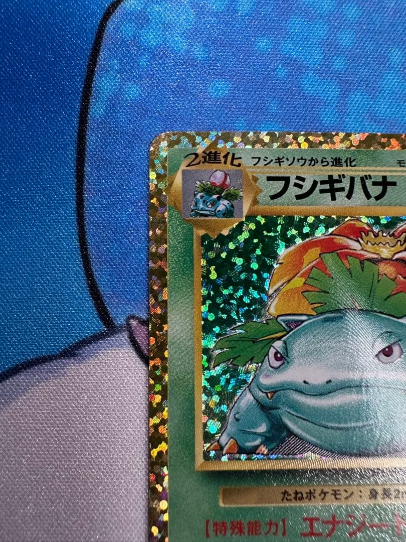 フシギバナ プロモカードパック 25th ANNIVERSARY editio…