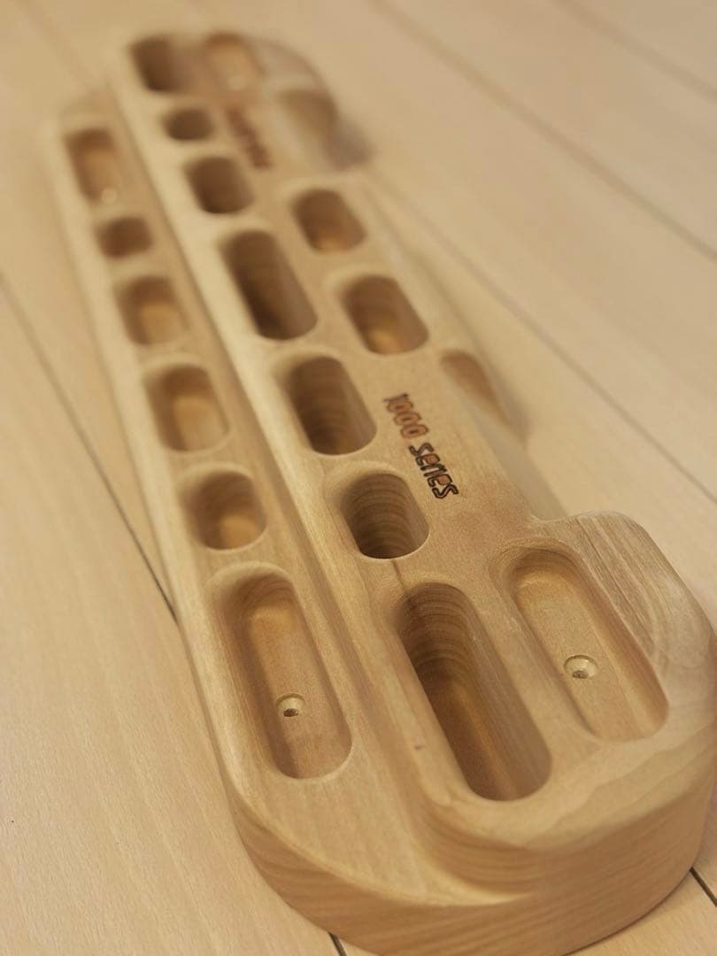 Beastmaker 1000 Series ビーストメーカー クライミング