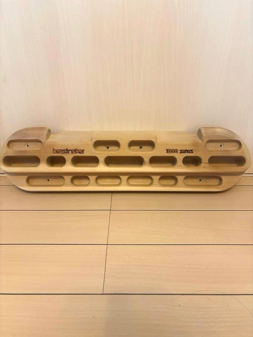 Beastmaker 1000 Series ビーストメーカー クライミング