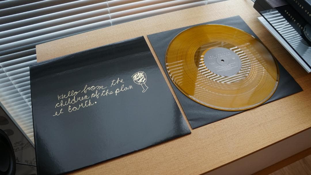 その他 THE VOYAGER GOLDEN RECORD (3LP BOX SET)