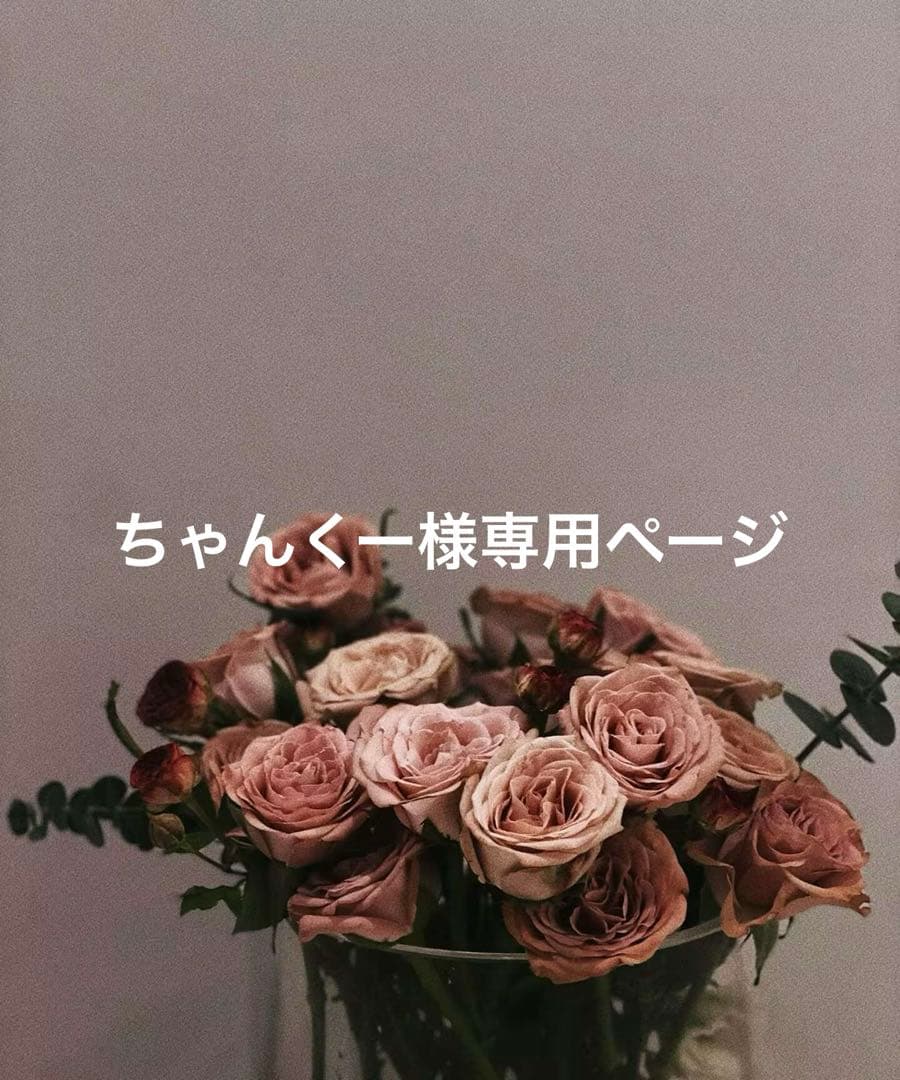 ちゃんくーページ