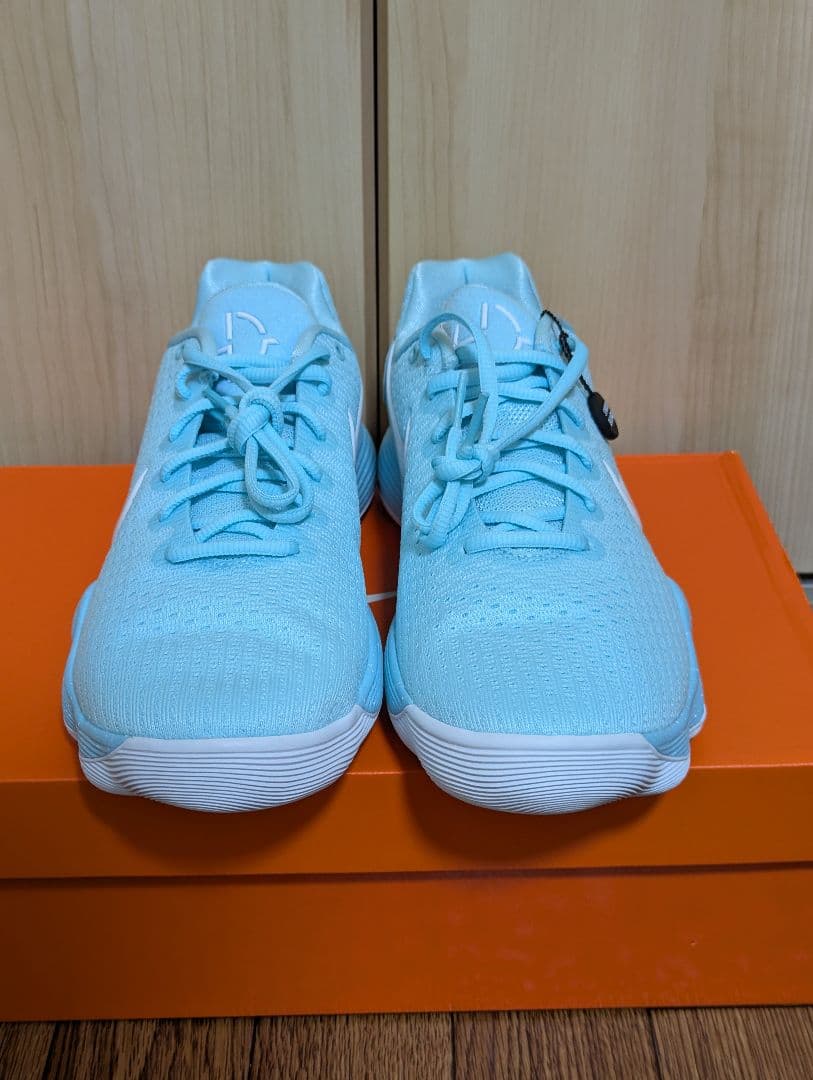 ハイパーダンク 2017 low EP 27.5cm