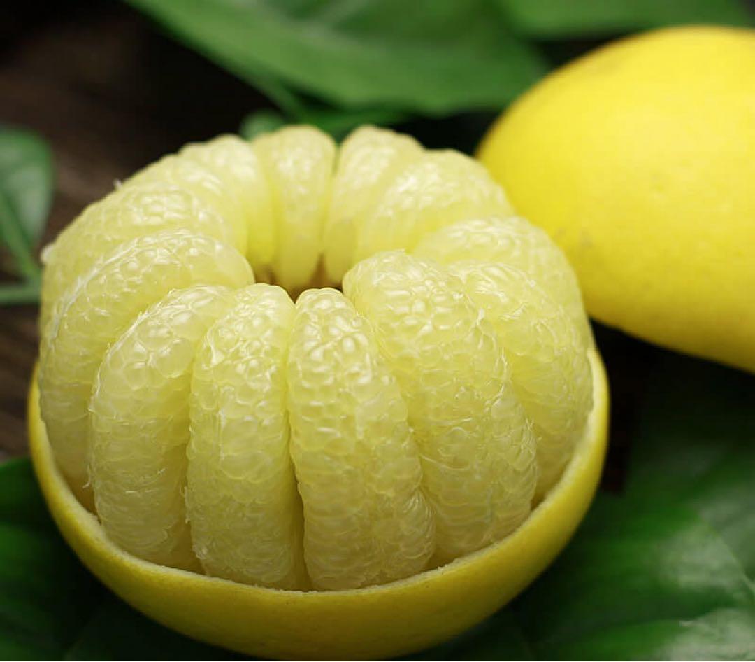 大玉文旦２０キロ　3L〜2Lサイズ