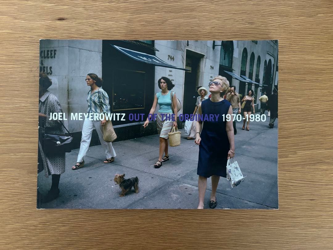JOEL MEYEROWITZ 『OUT OF THE ORDINARY 』