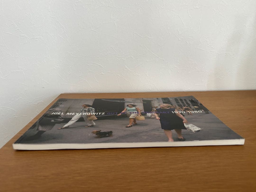 JOEL MEYEROWITZ 『OUT OF THE ORDINARY 』