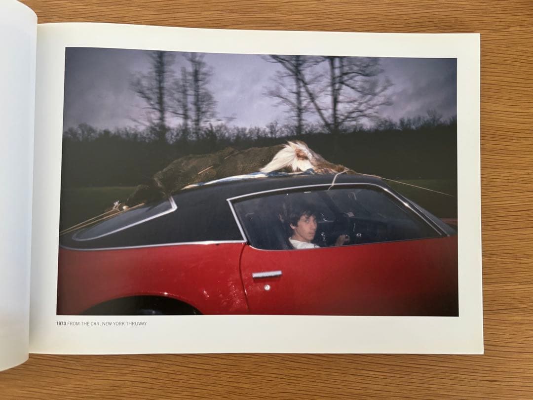 JOEL MEYEROWITZ 『OUT OF THE ORDINARY 』