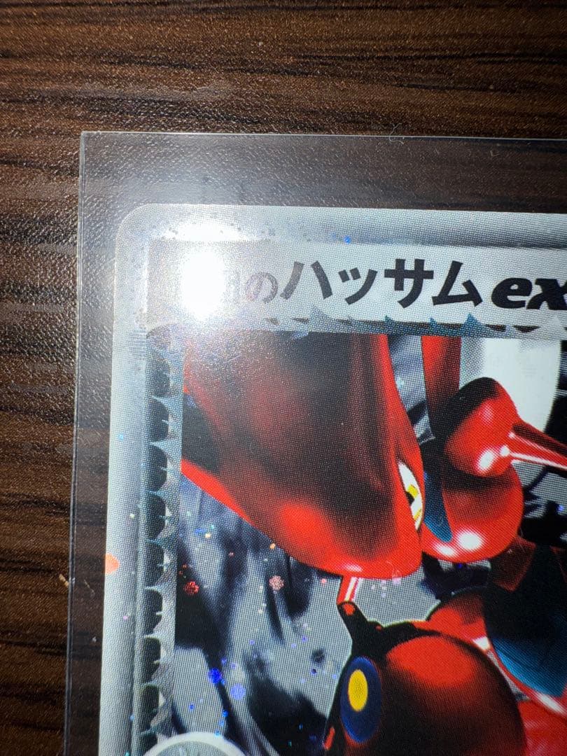 R団のハッサム ex