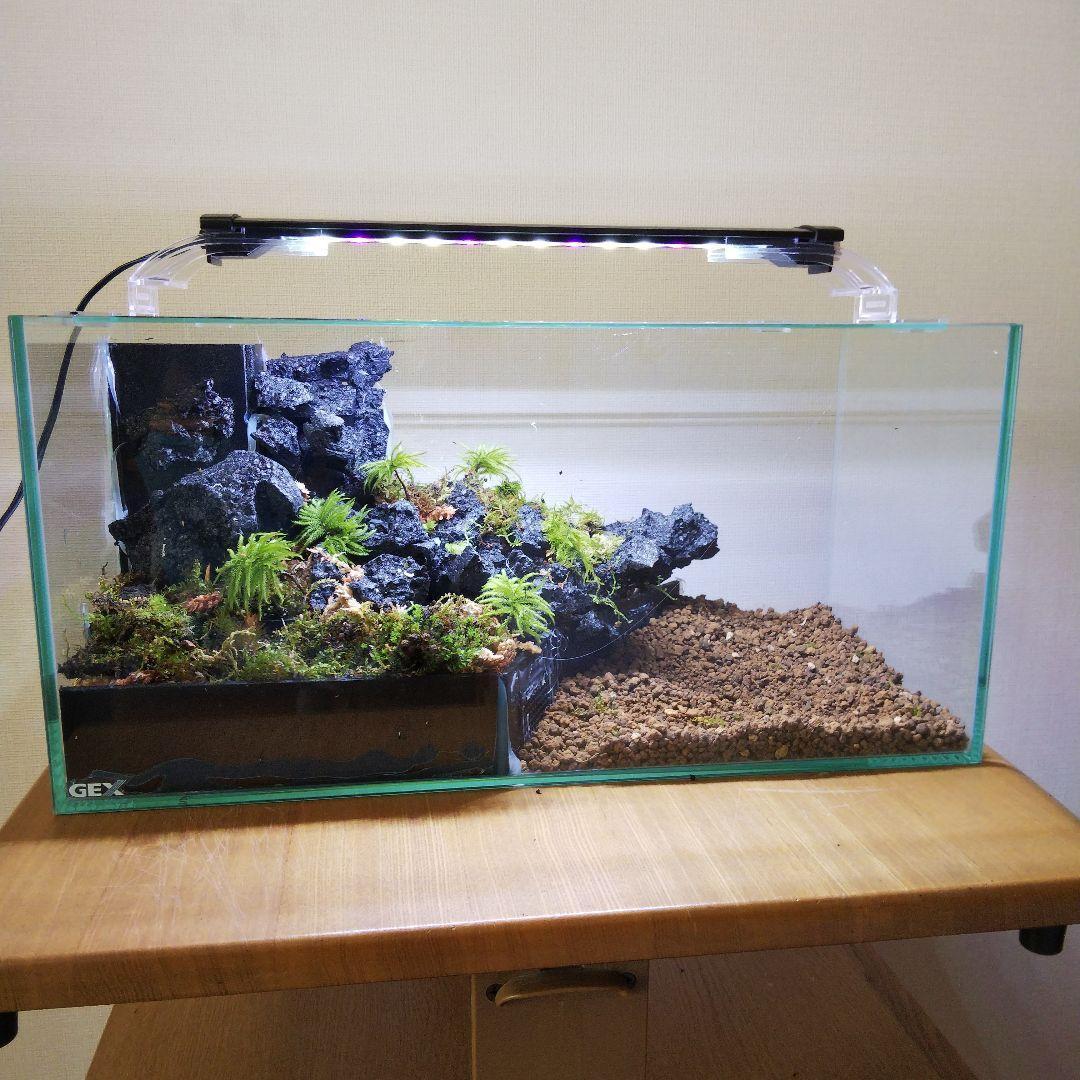 【受注生産】滝のあるアクアテラリウム　イモリウム　苔テラリウム　アクアテラリウム