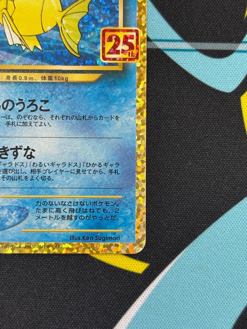 ひかるコイキング 25th