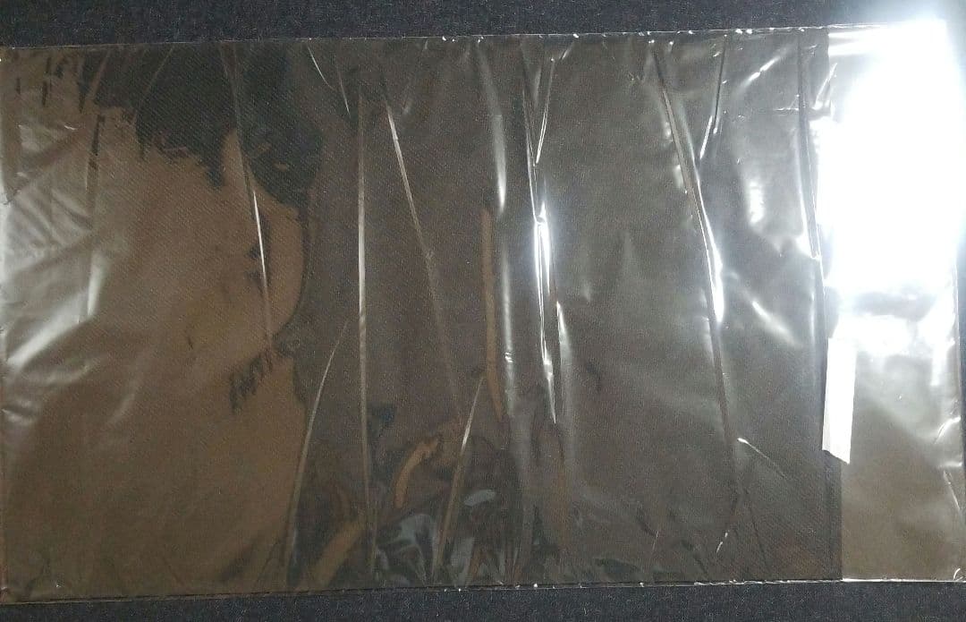 【公式/海外限定】メガサーナイト　REGIONAL　リージョナル　プレイマット