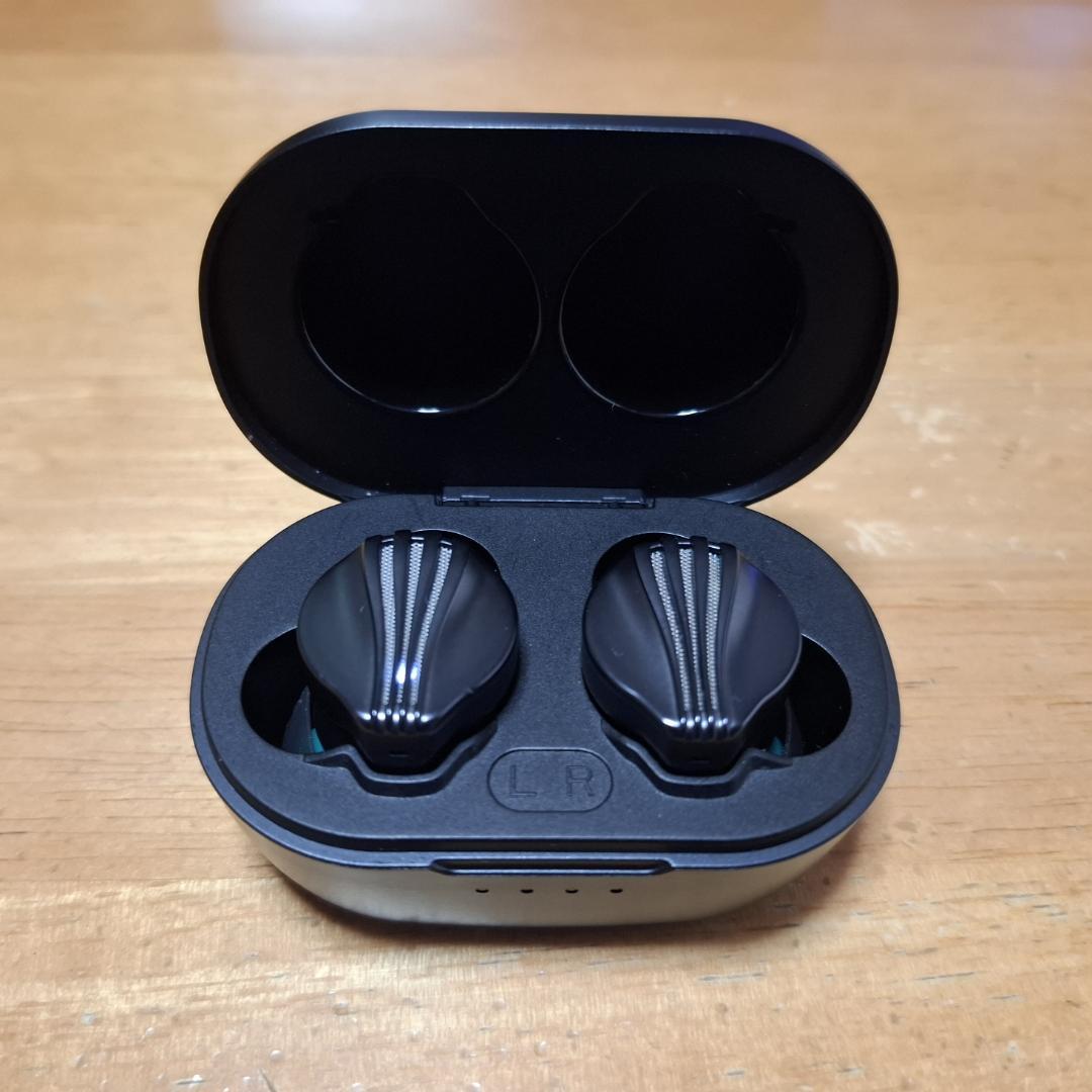 【中古美品】FW5 FIO-FW5-B ワイヤレスイヤホン