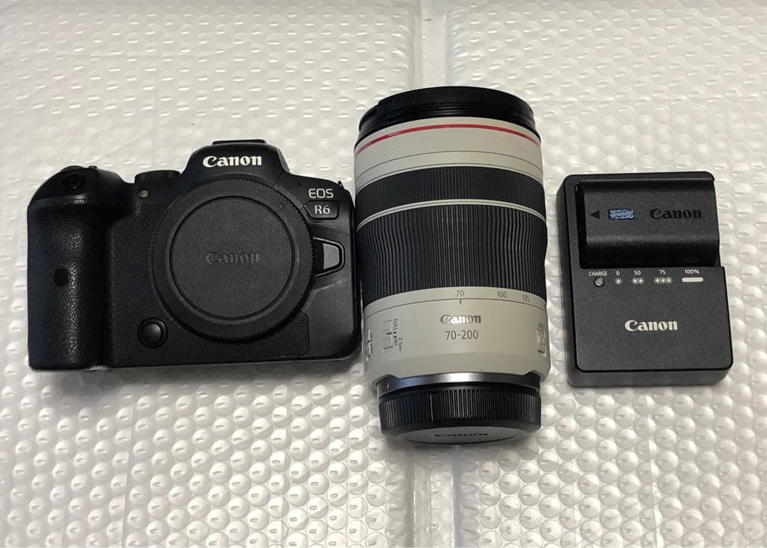 訳あり‼️Canon EOS R6 セット