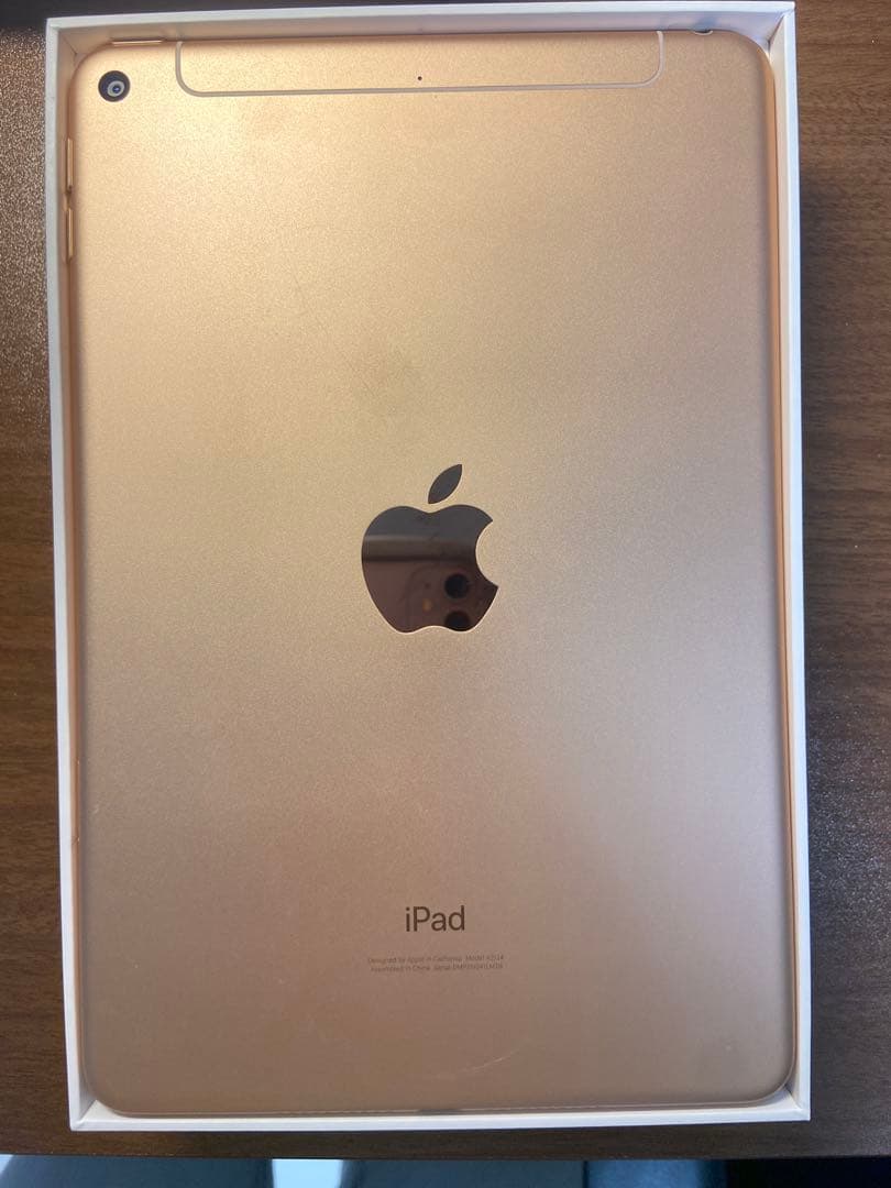 【専用】iPad mini 第5世代 64GB SIMフリー 美品