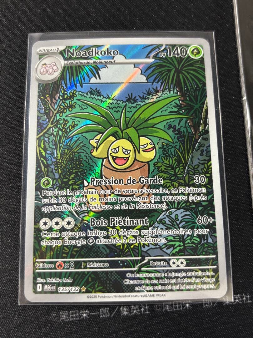 ポケモンカード フーディン ナッシー フランス語 セット