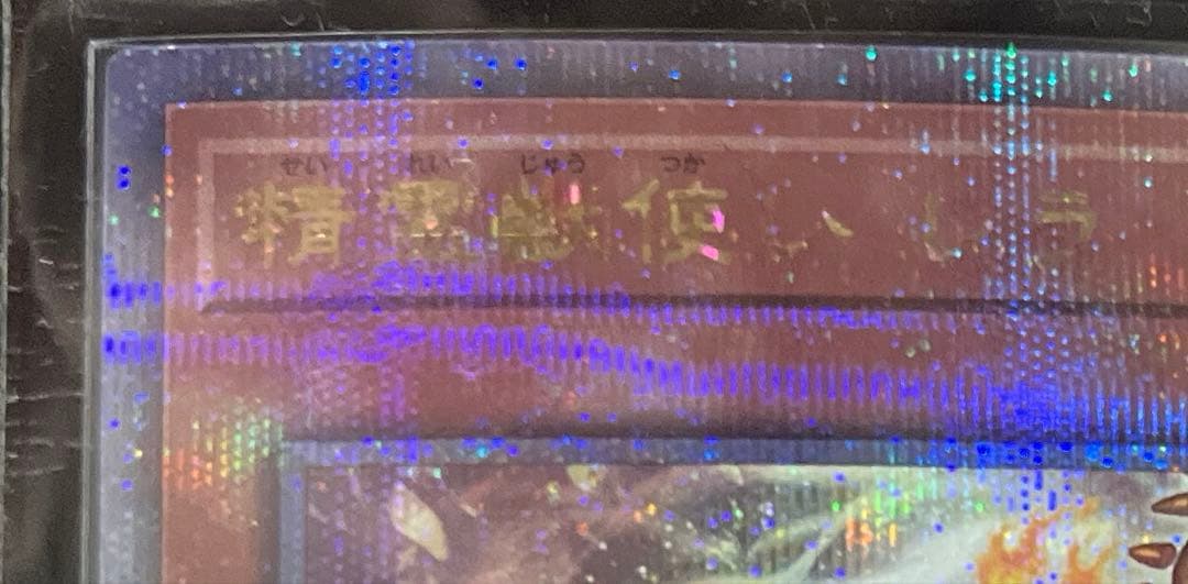 遊戯王 精霊獣使いレラ 25th クオシク