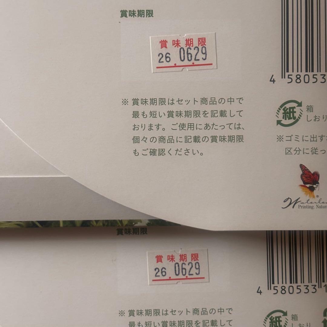 かな様リクエスト☆2セット☆グリーンブラザーズ GB 1DAYクレンズセット