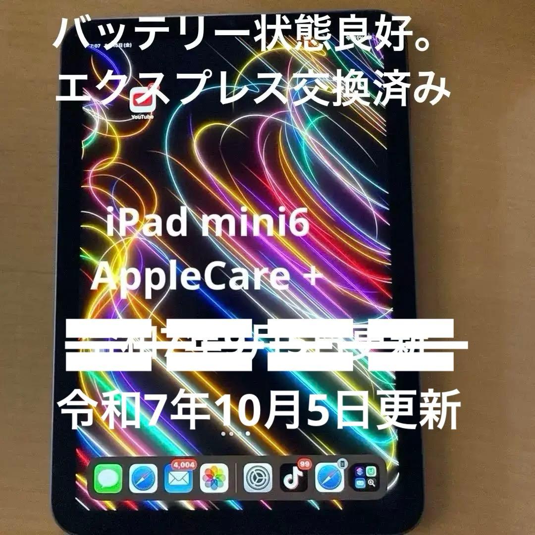 Apple iPad mini スペースグレー 本体64GB
