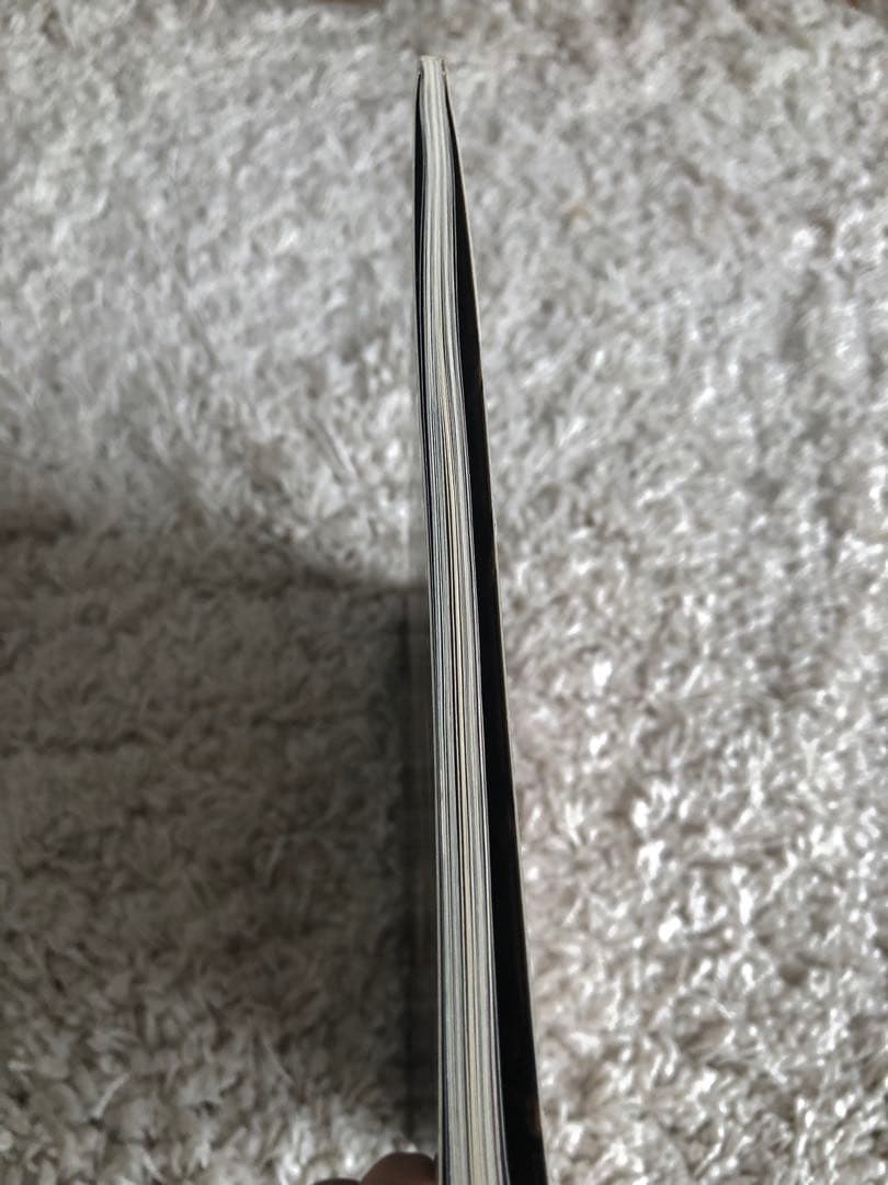 The Virgin Suicides ヴィジュアルブック