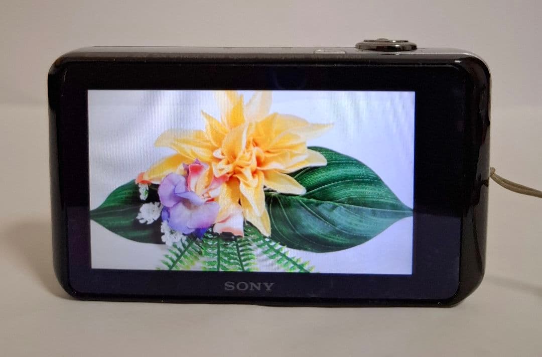 [美品]ソニー SONY Cyber-shot DSC-WX30 デジタルカメラ