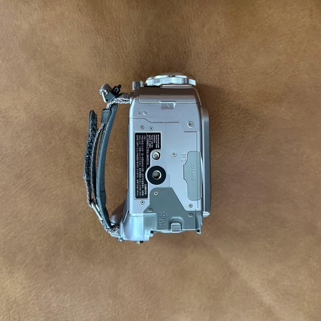 【Panasonic/パナソニック】DVDビデオカメラ　VDR-D300-S