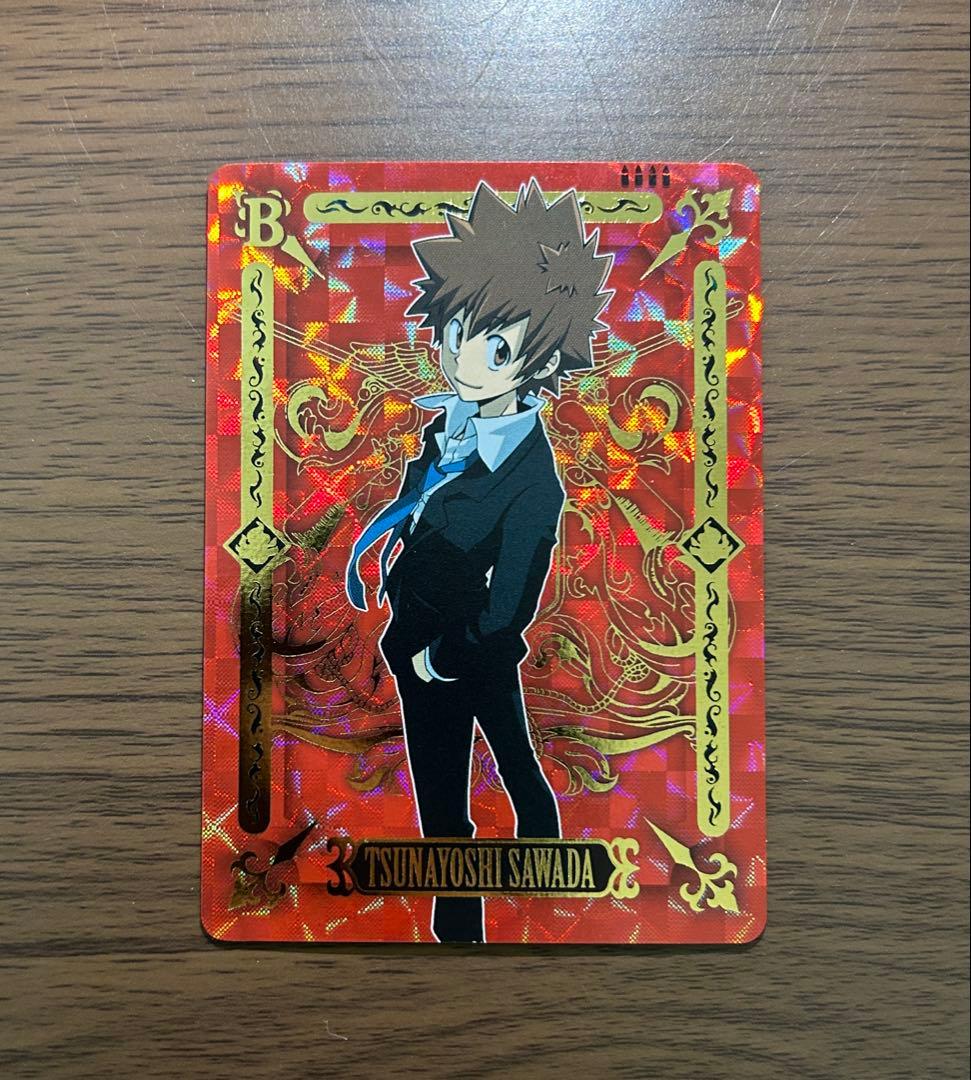 家庭教師ヒットマンREBORN 沢田綱吉 最高レアリティ サザンクロスバトル