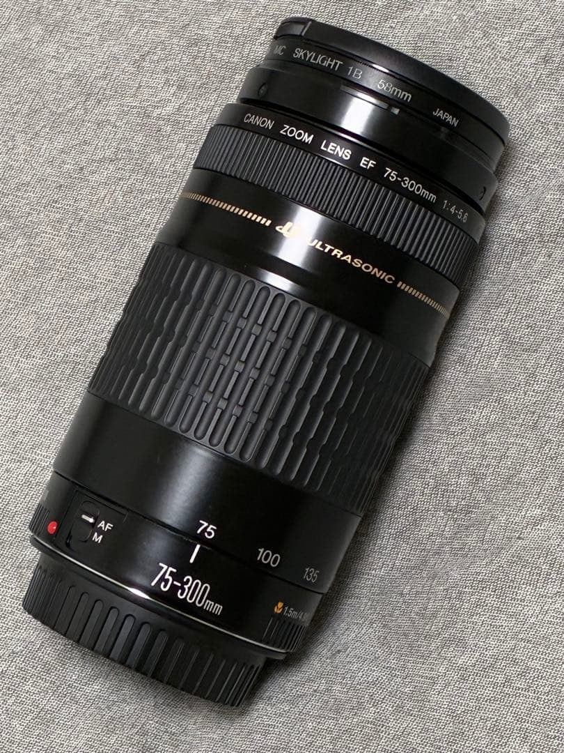⭐️美品⭐️Canon EF 75-300mm F/4-5.6 USM