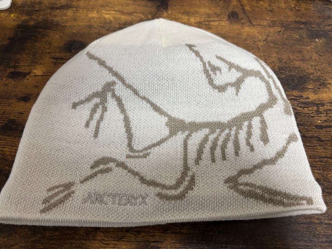 ARC'TERYX バードヘッドトーク ホワイト