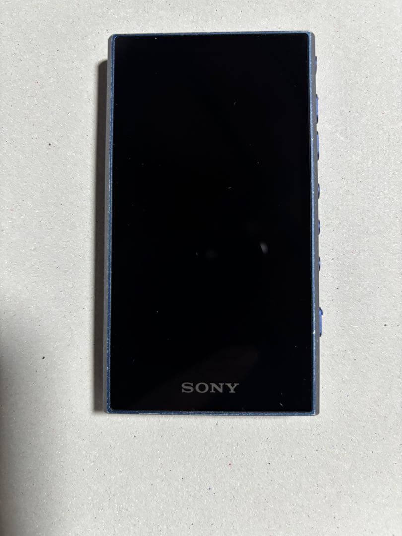 中古品 動作確認済みSONY ソニー ウォークマン NW-A306 ブルー