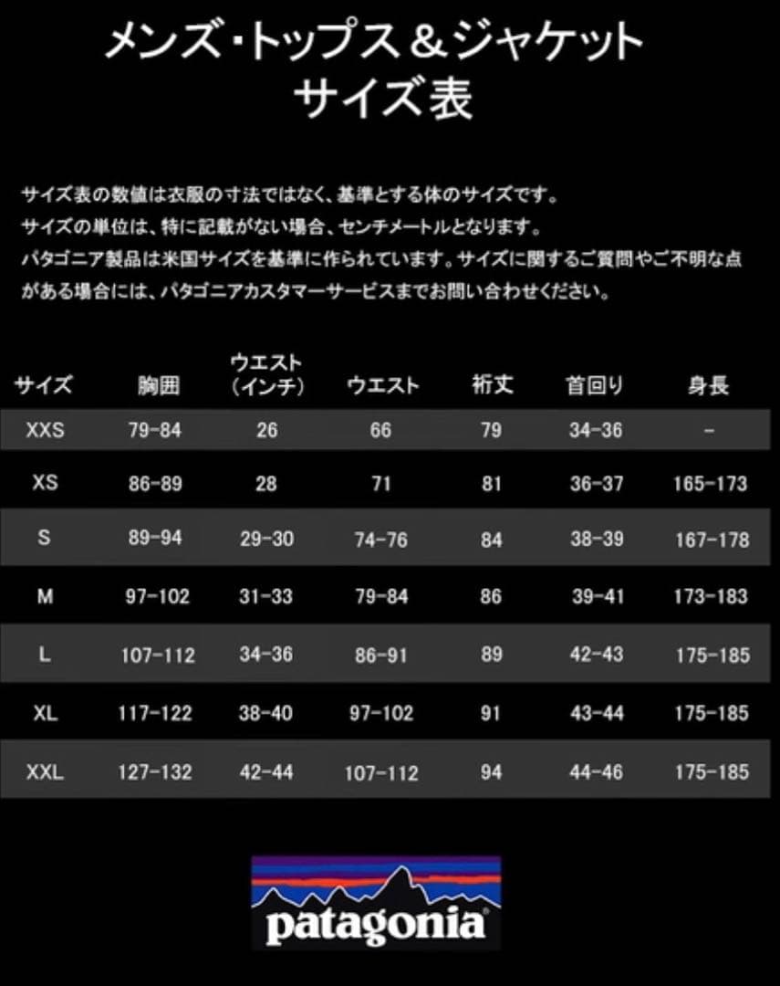 patagonia パタゴニア　レトロXベスト