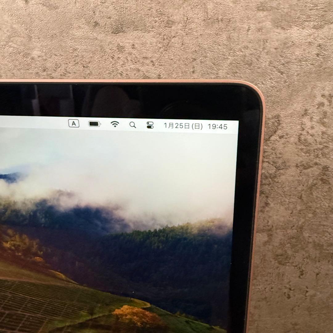 Apple MacBook ゴールド 本体 充電器付き