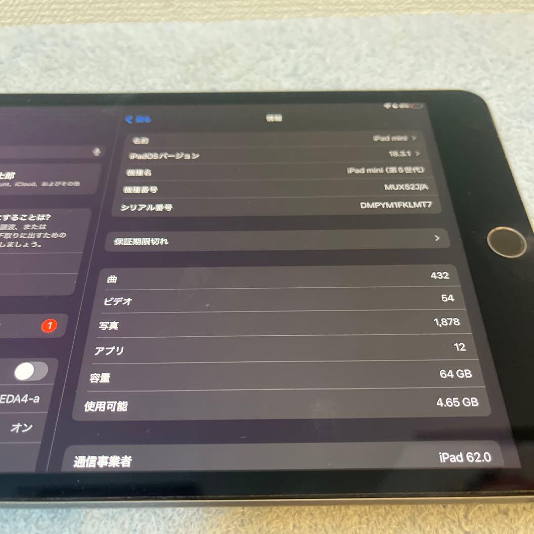 iPad mini 第5世代 Cellular 64GB