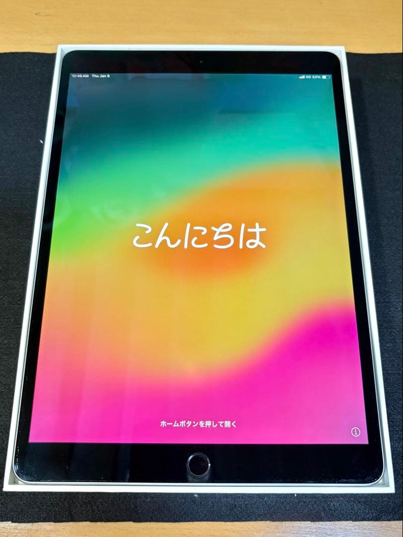 iPad Pro 10.5インチ 256GB Wi-Fi＋Cellular