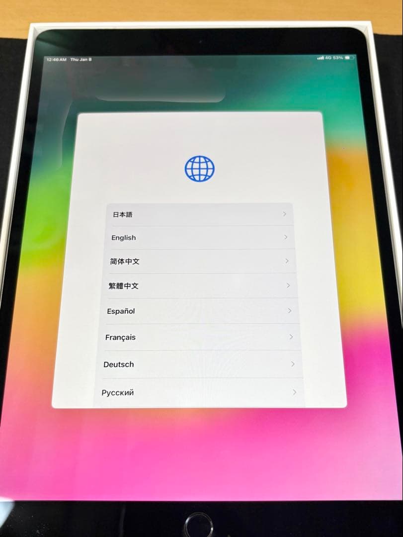 iPad Pro 10.5インチ 256GB Wi-Fi＋Cellular