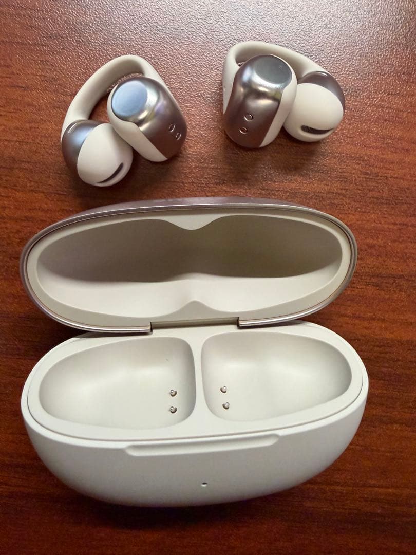 Shokz (ショックス) OpenDots ONE グレー