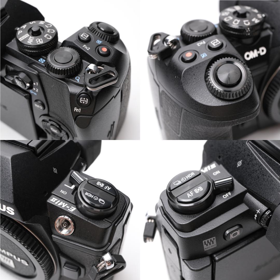 綺麗 OLYMPUS OM-D E-M1 Mark II + HLD-9