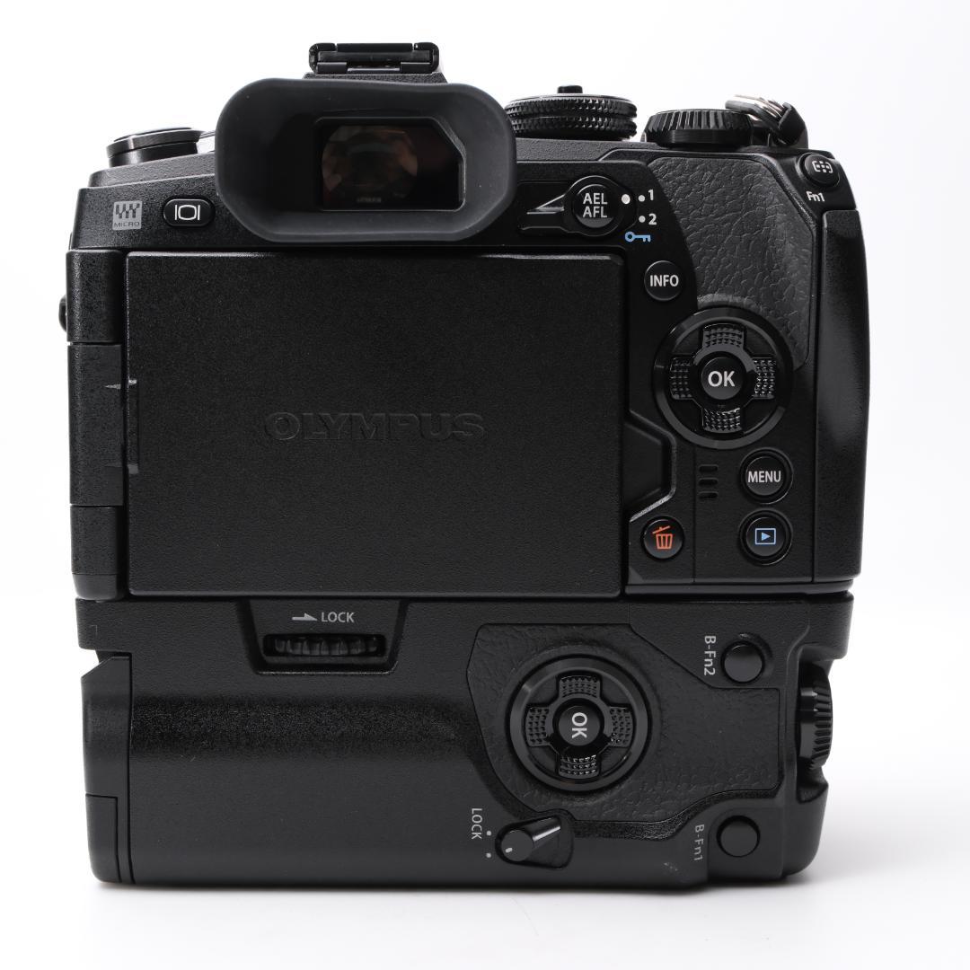 綺麗 OLYMPUS OM-D E-M1 Mark II + HLD-9